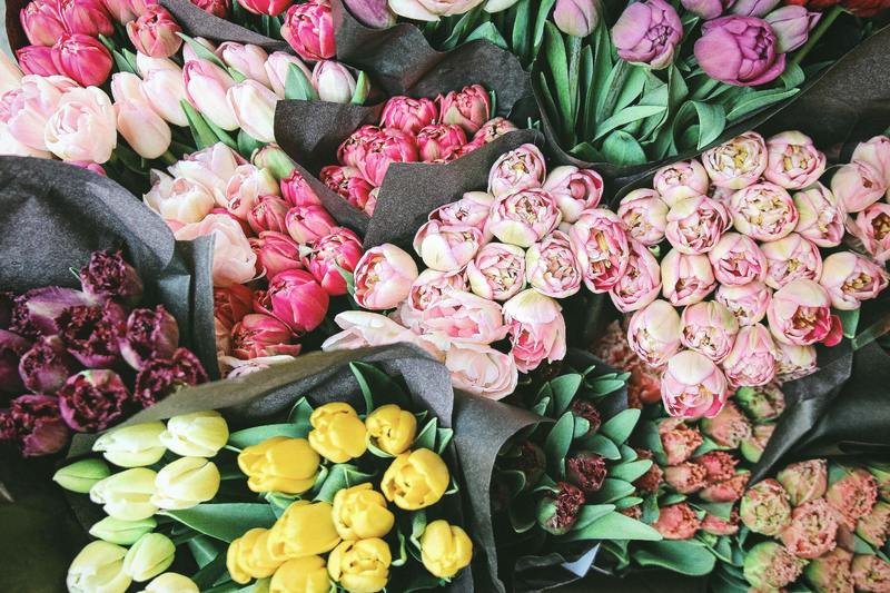Florist Business in Sydney City limits